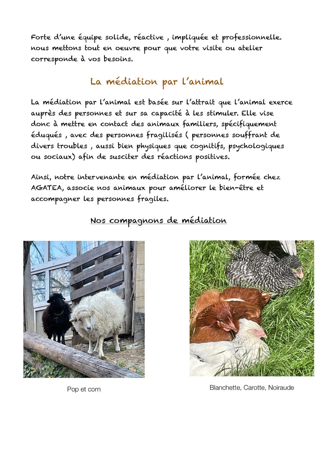 Mediation par l'animal