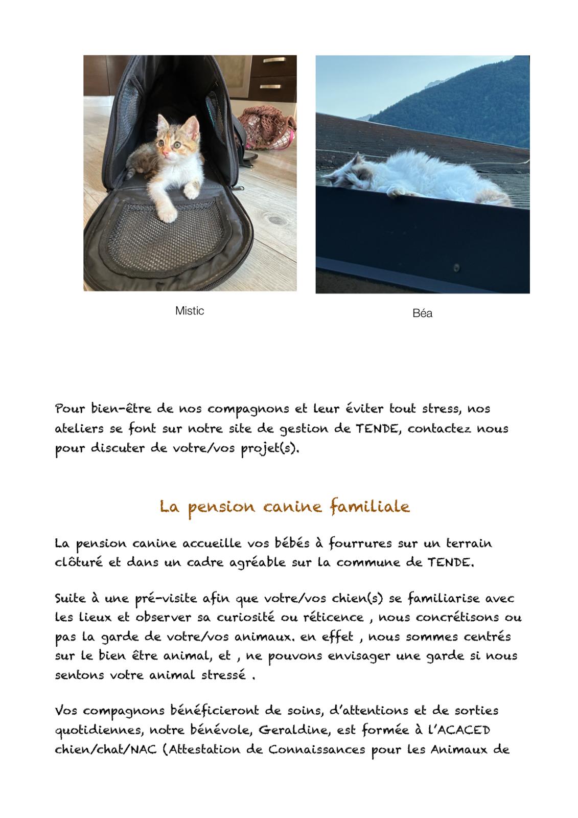 Pension Canine a Tende