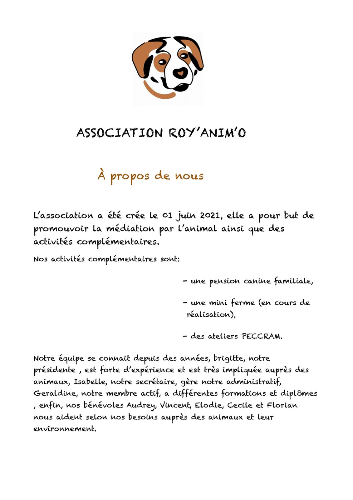 Association Royanimo