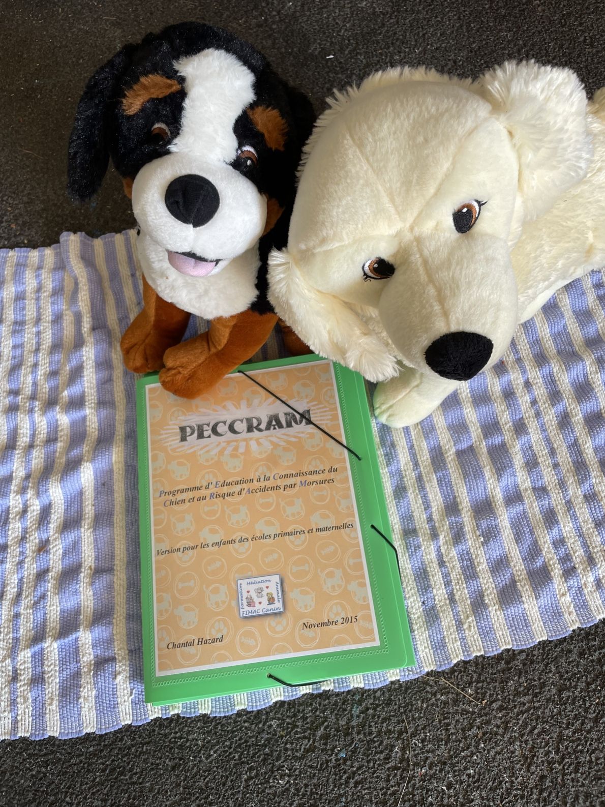 Atelier PECCRAM pour enfants : découverte du chien en toute sécurité